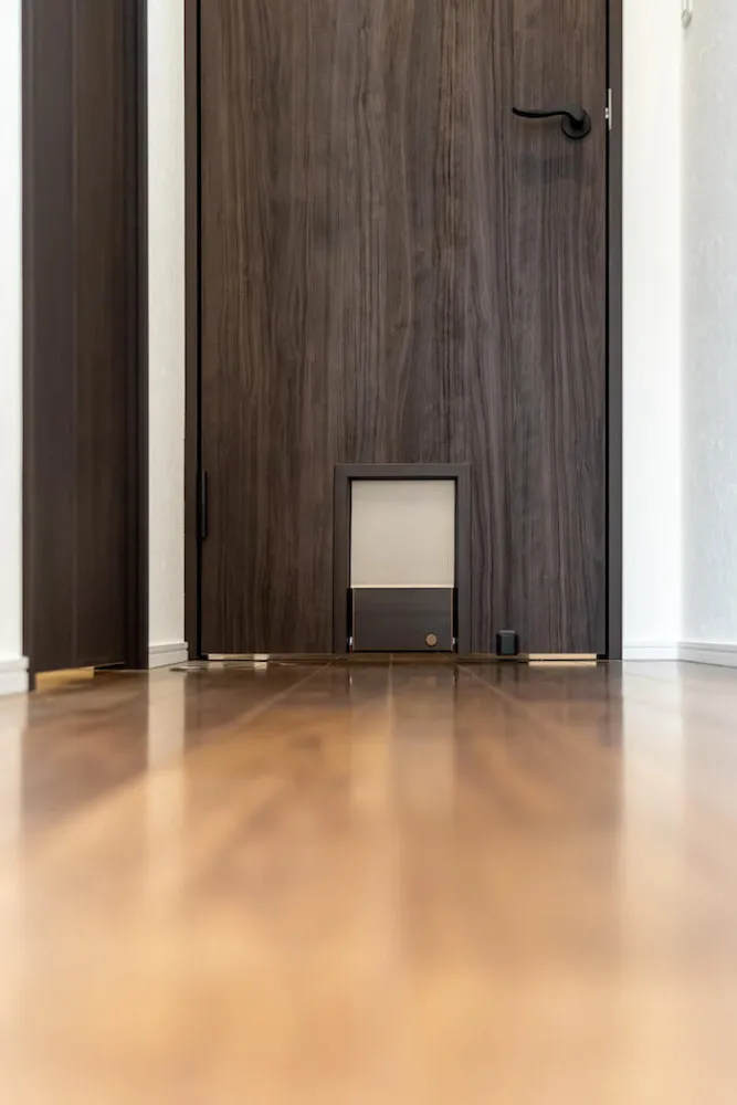 のびやかな平屋を愛猫と愉しむ家