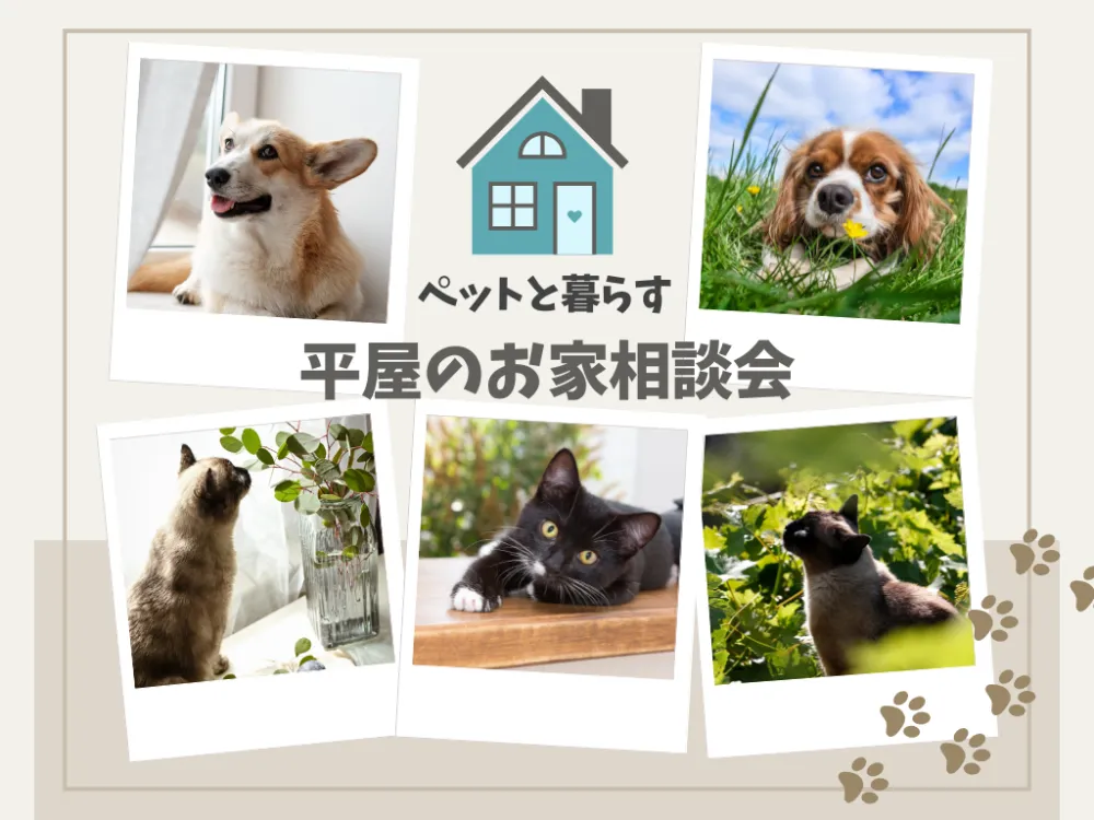 event-Blog